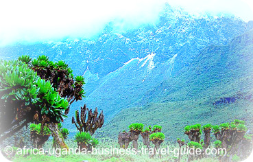 Ruwenzori Mountain National Park