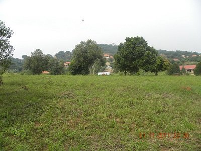 50 by 100 plot Bwebajja Uganda view 1