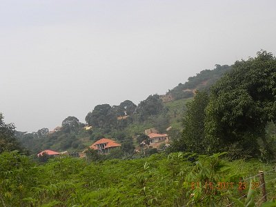 50 by 100 plot Bwebajja Uganda view 2